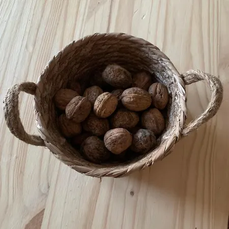 Maison Chaleureuse à La Campagne Hébergement de vacances Payrignac