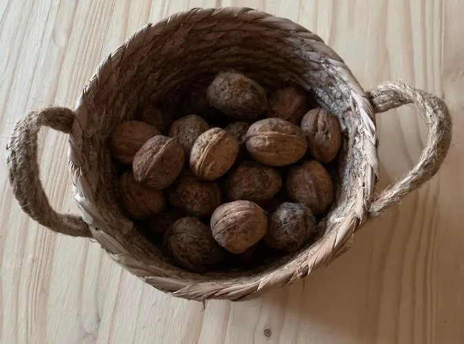 Maison Chaleureuse à La Campagne Hébergement de vacances Payrignac