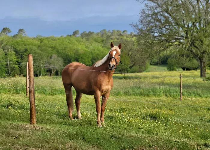 Hébergement de vacances Maison Chaleureuse à La Campagne Payrignac